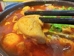 -阆中马记特色砂锅(新村路西段店)