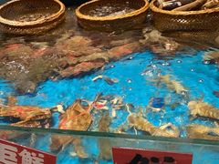 -恭喜上堓砂锅焗·海鲜大排档(闵行龙湖店)