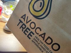 -油梨树AVOCADO TREE(嘉里中心店)
