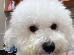 -创凡宠物医院·骨专科  猫科中心(西乡分院)