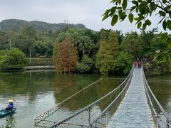 -星湖旅游景区七星岩