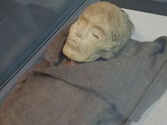 -巴音郭楞蒙古自治州博物馆