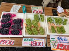 -中部国际机场
