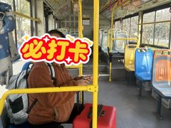 -龙门李家三旦羊肉汤馆