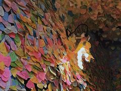 -阿信厚吐司(曾厝垵店)