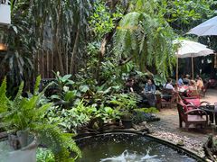 -Fern Forest Cafe