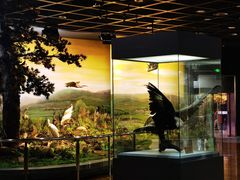 -陕西自然博物馆