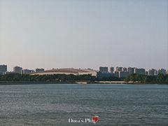 -贡湖湾湿地公园
