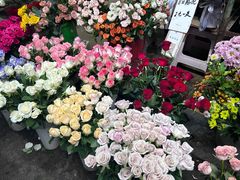 -循礼门鲜花花市(武汉循礼门店)