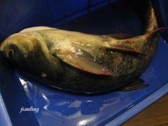 -旭龙鱼头王(航华店)