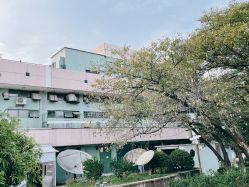 -晴川假日酒店·宴会厅·会议厅