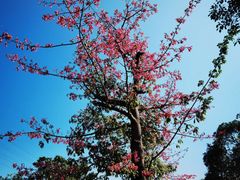 -中国移动南方基地