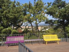 -朝安泰迪熊博物馆