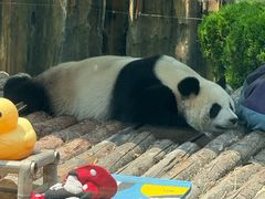 -大连森林动物园