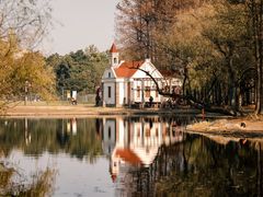 -上海共青森林公园