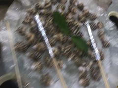 -皮记海鲜1995(寮步店)