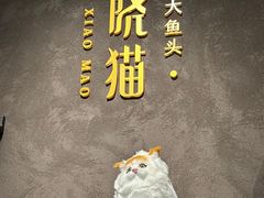 -黄晓猫剁椒大鱼头(海岸城店)
