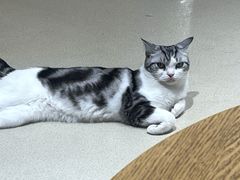 -藏猫猫咖啡主题馆(中央大道店)