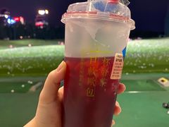 -棕榈泉国际高尔夫学院