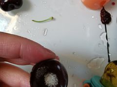 -麦德龙(嘉定店)