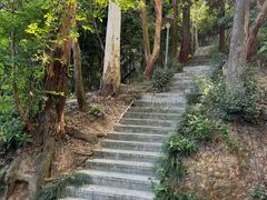 -小南山公园