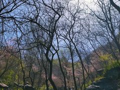 -封龙山风景区