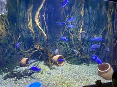 -华夏文旅海洋公园