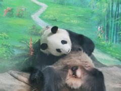 -灵玲国际马戏城