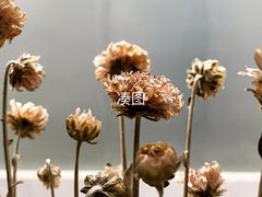 -米泰芒·东南亚料理(体育西店)