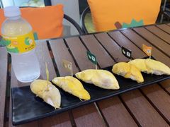 -榴莲BB 四季果园