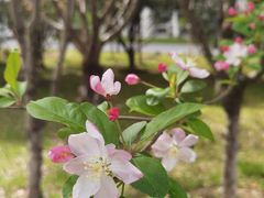 -江南大学(蠡湖校区)