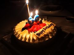 -蝶园·装修中(BFC外滩金融中心店)