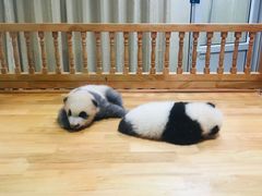 -百签宫串串香重庆火锅(夏湾店)