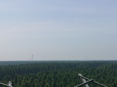 -黄海国家森林公园