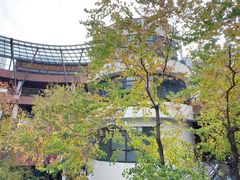 -瑞虹新天地月亮湾