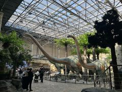 -国家自然博物馆