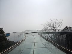 -缙云山景区