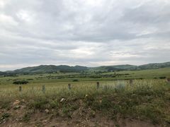 -塞罕坝国家级自然保护区