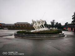 -大连铭湖国际观光牧场