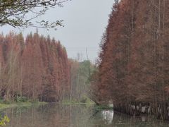 -桤木河湿地公园