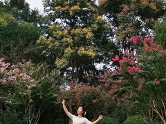 -杭州城北体育公园