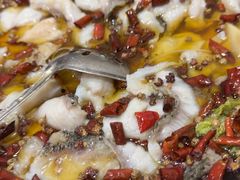 -金三可市井水煮鱼(金碧园店)