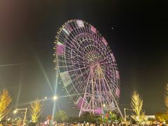 -南昌之星摩天轮