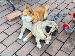 -大理床单厂艺术区