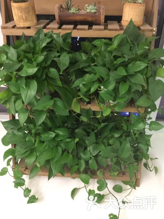 北木日式美发沙龙图片 - 第6张