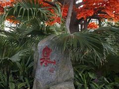 -东方华地城湿地温泉度假区