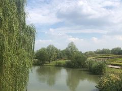 -梁鸿国家湿地公园