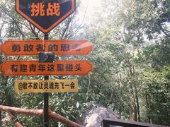 -千岛湖石林
