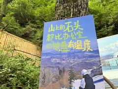 -帽儿山风景区