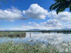 -野鸭湖国家湿地公园